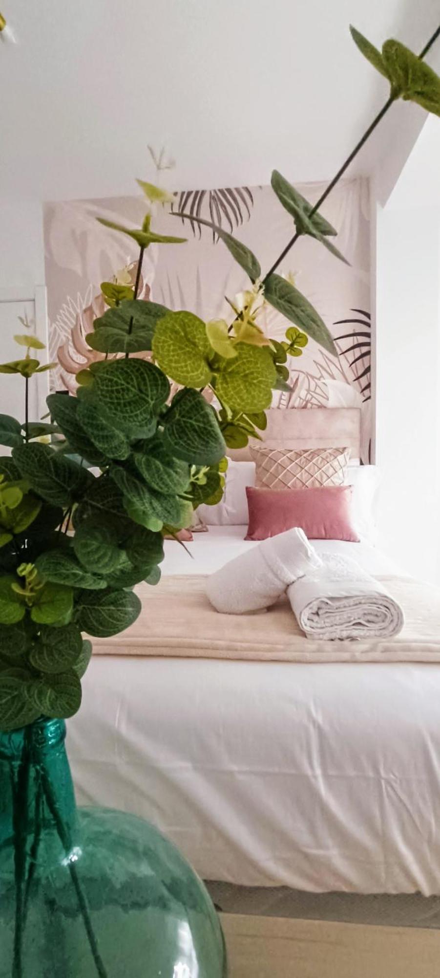 Apartamento Centro Ancha De Gracia Granada Buitenkant foto